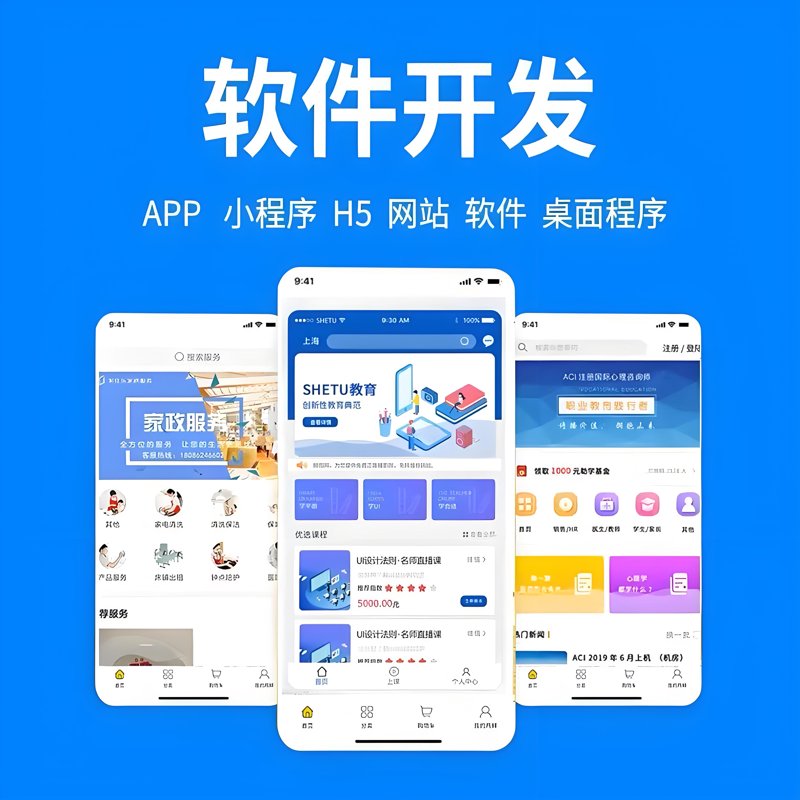 定制软件开发：企业成长的新引擎