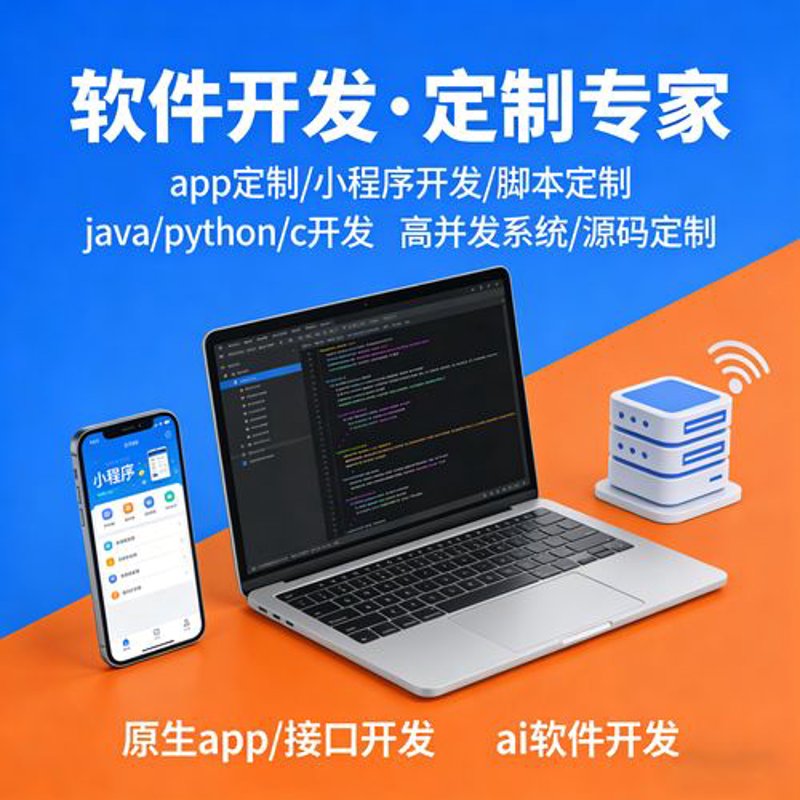 软件定制外包