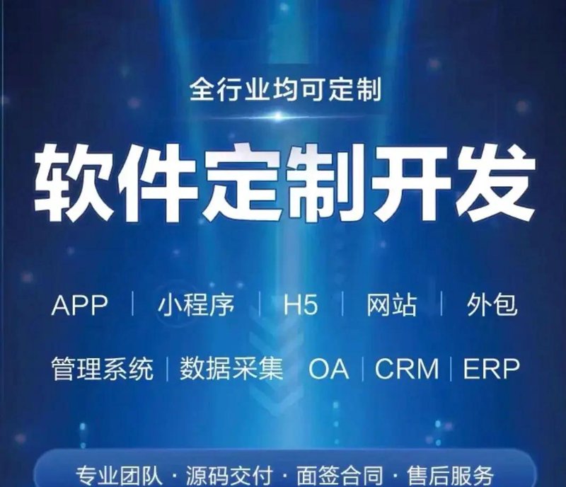 定制软件开发：企业数字转型的新引擎